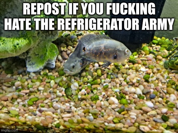 Julie and Josephine | REPOST IF YOU FUCKING HATE THE REFRIGERATOR ARMY | image tagged in jimmy and joseph | made w/ Imgflip meme maker