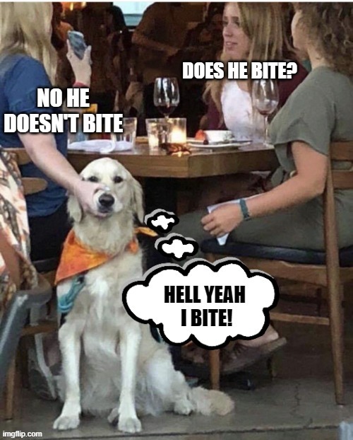 My Dog is friendly | image tagged in dog,pets,owner,bite,does he bite,he bites | made w/ Imgflip meme maker