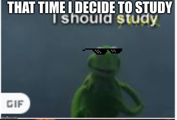 THAT TIME I DECIDE TO STUDY | image tagged in cermit | made w/ Imgflip meme maker