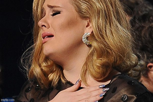 Adele So Beautiful | image tagged in adele so beautiful | made w/ Imgflip meme maker