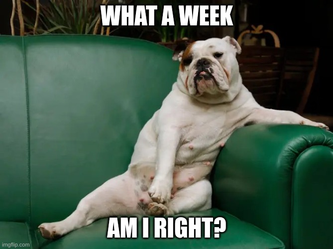 When it's finally Friday | WHAT A WEEK; AM I RIGHT? | image tagged in when it's finally friday,dogs | made w/ Imgflip meme maker