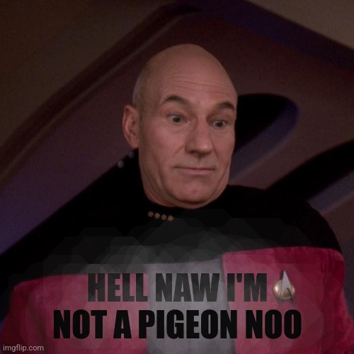 Picard Awkward | HELL NAW I'M NOT A PIGEON NOO | image tagged in picard awkward | made w/ Imgflip meme maker
