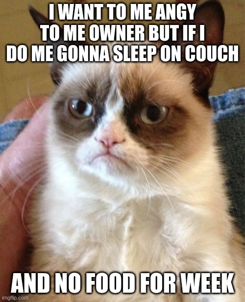 Grumpy Cat Meme | I WANT TO ME ANGY TO ME OWNER BUT IF I DO ME GONNA SLEEP ON COUCH; AND NO FOOD FOR WEEK | image tagged in memes,grumpy cat | made w/ Imgflip meme maker