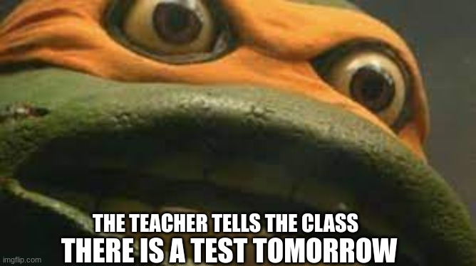 agree with me? | THE TEACHER TELLS THE CLASS; THERE IS A TEST TOMORROW | image tagged in movie mikey's face | made w/ Imgflip meme maker