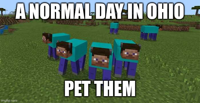 ohio | A NORMAL DAY IN OHIO; PET THEM | image tagged in me and the boys | made w/ Imgflip meme maker