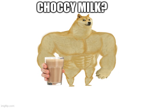choccy m i l k | CHOCCY MILK? | image tagged in choccy milk | made w/ Imgflip meme maker