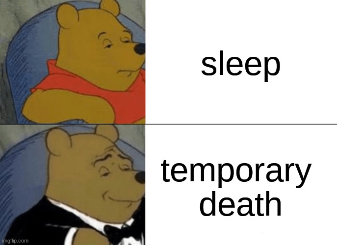 Tuxedo Winnie The Pooh Meme | sleep; temporary 
death | image tagged in memes,tuxedo winnie the pooh | made w/ Imgflip meme maker