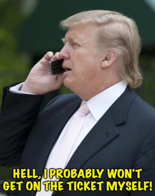 Trump on the phone | HELL, I PROBABLY WON'T GET ON THE TICKET MYSELF! | image tagged in trump on the phone | made w/ Imgflip meme maker