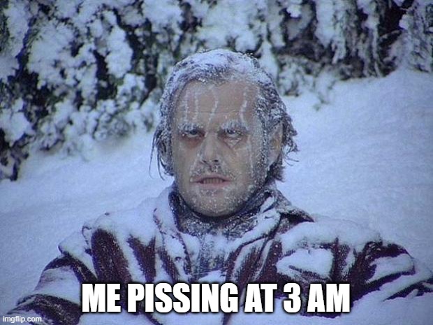 meme | ME PISSING AT 3 AM | image tagged in memes,jack nicholson the shining snow,pissing,fun,pooping | made w/ Imgflip meme maker