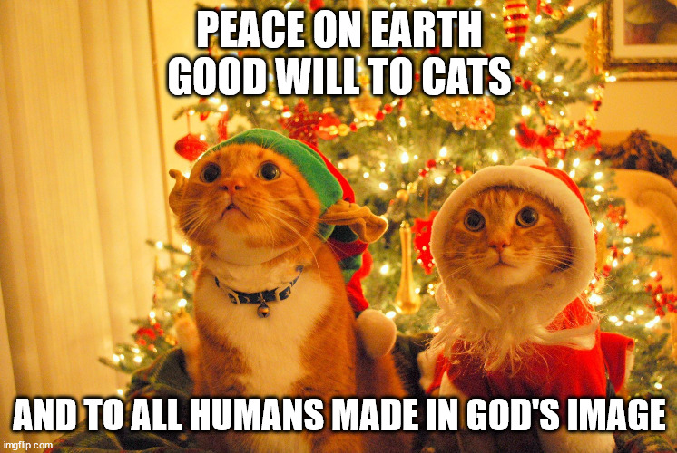 Peace on Earth | PEACE ON EARTH
GOOD WILL TO CATS; AND TO ALL HUMANS MADE IN GOD'S IMAGE | image tagged in christmas cats hopeful | made w/ Imgflip meme maker