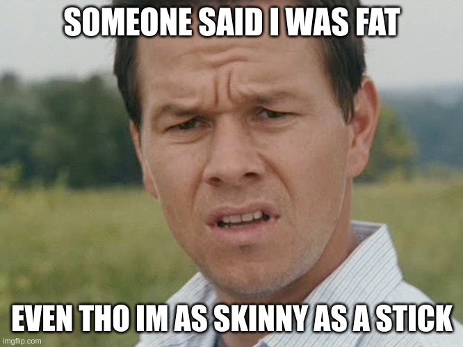 huh | SOMEONE SAID I WAS FAT; EVEN THO IM AS SKINNY AS A STICK | image tagged in huh | made w/ Imgflip meme maker