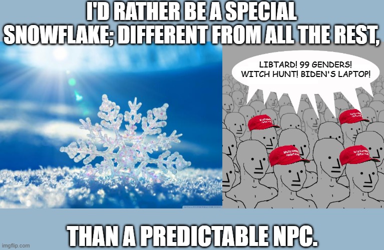 I'D RATHER BE A SPECIAL SNOWFLAKE; DIFFERENT FROM ALL THE REST, LIBTARD! 99 GENDERS! WITCH HUNT! BIDEN'S LAPTOP! THAN A PREDICTABLE NPC. | image tagged in snowflake,npc | made w/ Imgflip meme maker