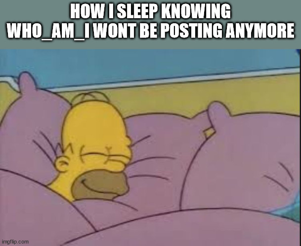 how i sleep homer simpson | HOW I SLEEP KNOWING WHO_AM_I WONT BE POSTING ANYMORE | image tagged in how i sleep homer simpson | made w/ Imgflip meme maker