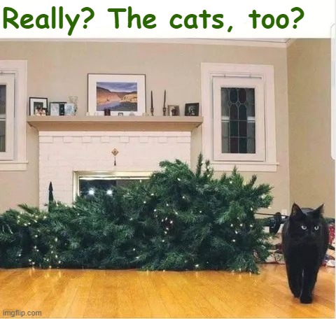 They're even recruiting felines now to serve as spies in the War on Christmas. Just ask Ukraine | Really? The cats, too? | image tagged in war on christmas | made w/ Imgflip meme maker
