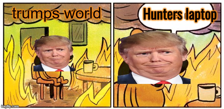 This Is Fine Meme | trumps world Hunters laptop | image tagged in memes,this is fine | made w/ Imgflip meme maker