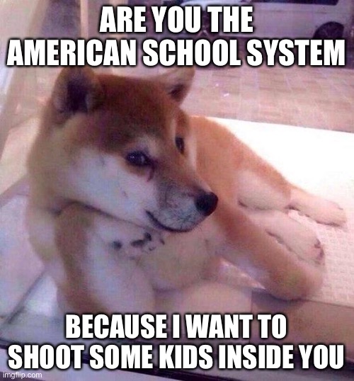 :) | ARE YOU THE AMERICAN SCHOOL SYSTEM; BECAUSE I WANT TO SHOOT SOME KIDS INSIDE YOU | image tagged in flirting doge | made w/ Imgflip meme maker