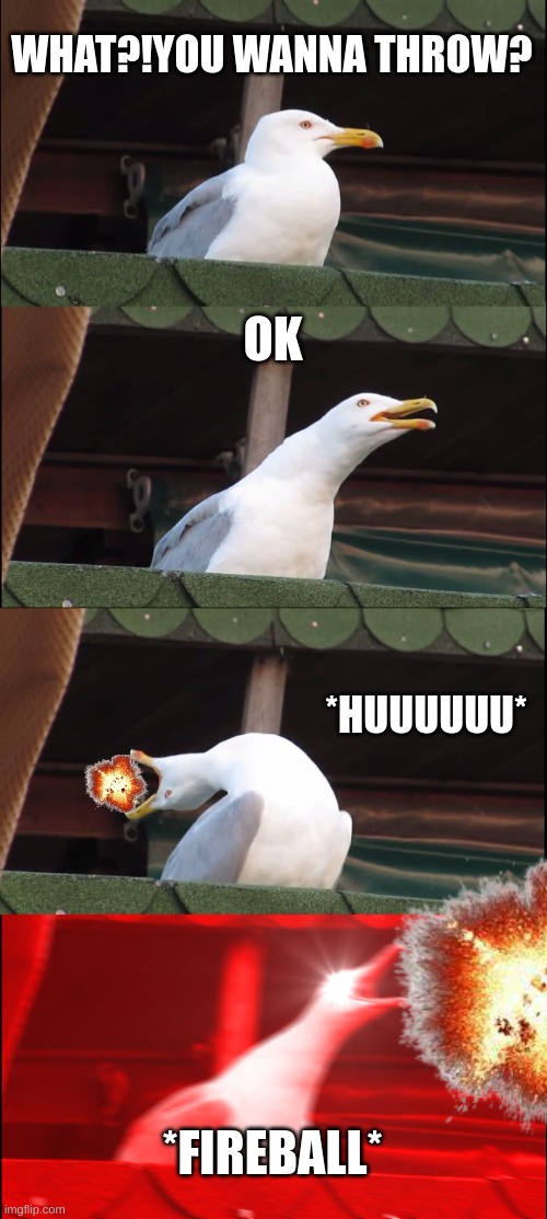 Inhaling Seagull Meme | WHAT?!YOU WANNA THROW? OK; *HUUUUUU*; *FIREBALL* | image tagged in memes,inhaling seagull | made w/ Imgflip meme maker