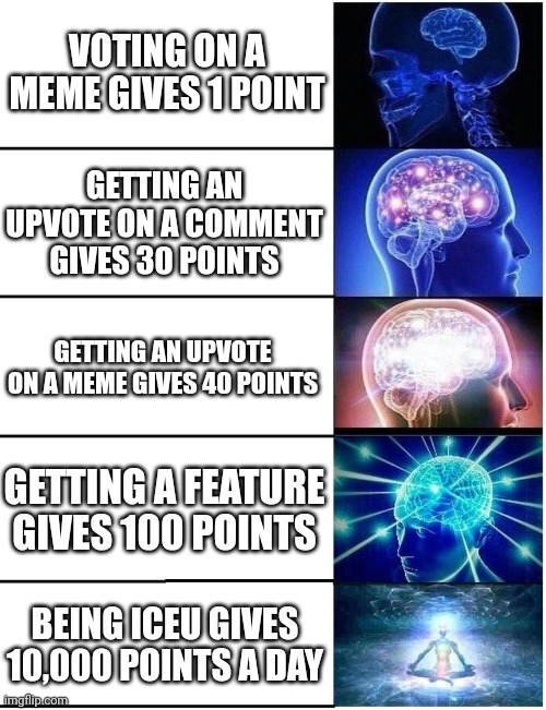 Meme #263 | VOTING ON A MEME GIVES 1 POINT; GETTING AN UPVOTE ON A COMMENT GIVES 30 POINTS; GETTING AN UPVOTE ON A MEME GIVES 40 POINTS; GETTING A FEATURE GIVES 100 POINTS; BEING ICEU GIVES 10,000 POINTS A DAY | image tagged in expanding brain 5 panel,expanding brain,memes,points,imgflip points,upvotes | made w/ Imgflip meme maker