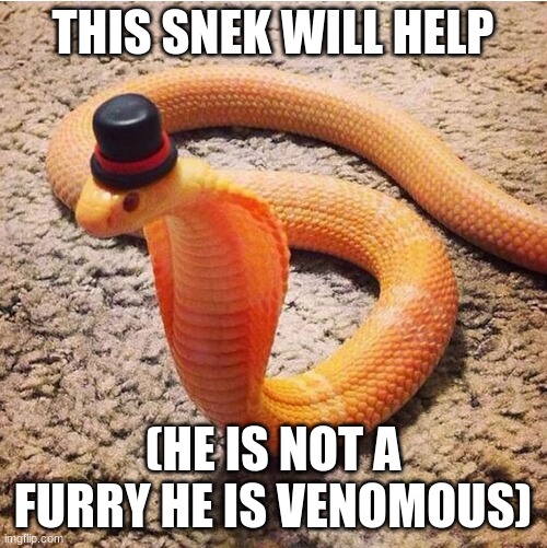 Dapper Snek | THIS SNEK WILL HELP (HE IS NOT A FURRY HE IS VENOMOUS) | image tagged in dapper snek | made w/ Imgflip meme maker