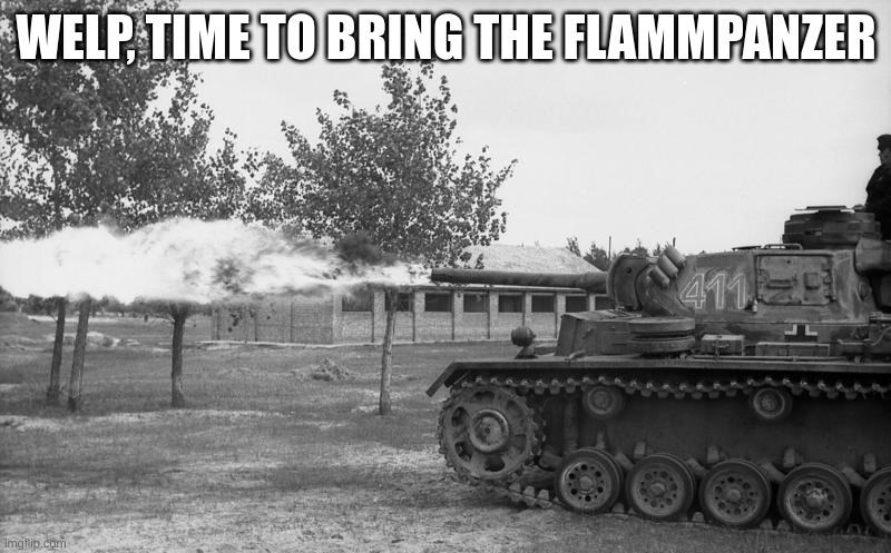 Forget ze flammenwerfer Hans! Get Ze Flammpanzer! | WELP, TIME TO BRING THE FLAMMPANZER | image tagged in forget ze flammenwerfer hans get ze flammpanzer | made w/ Imgflip meme maker