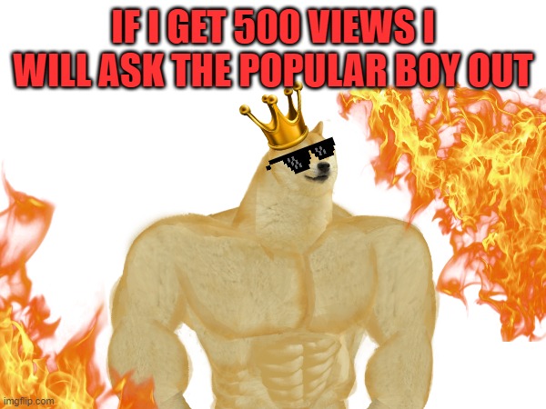 please i don't want to ask the popular boy out  but I'll force myself to | IF I GET 500 VIEWS I WILL ASK THE POPULAR BOY OUT | image tagged in myself | made w/ Imgflip meme maker