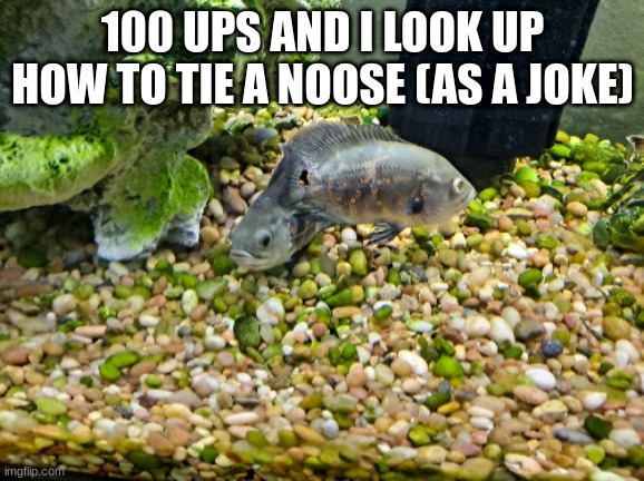 Julie and Josephine | 100 UPS AND I LOOK UP HOW TO TIE A NOOSE (AS A JOKE) | image tagged in jimmy and joseph | made w/ Imgflip meme maker