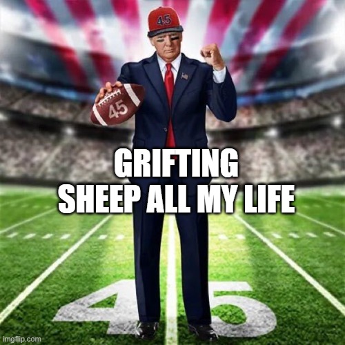 GRIFTING SHEEP ALL MY LIFE | made w/ Imgflip meme maker