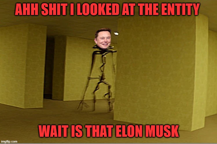 Backrooms entity | AHH SHIT I LOOKED AT THE ENTITY; WAIT IS THAT ELON MUSK | image tagged in backrooms entity | made w/ Imgflip meme maker