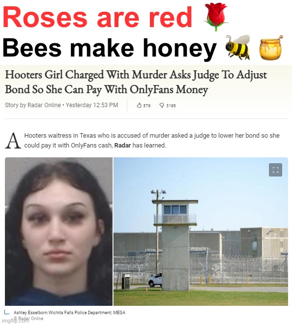 Roses are red, bees make honey |  Roses are red 🌹; Bees make honey 🐝 🍯 | image tagged in hooters girl charged,roses are red,bees make honey,onlyfans,hooters girls,murder | made w/ Imgflip meme maker