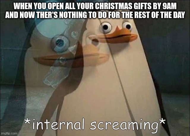 Private Internal Screaming | WHEN YOU OPEN ALL YOUR CHRISTMAS GIFTS BY 9AM AND NOW THER'S NOTHING TO DO FOR THE REST OF THE DAY | image tagged in private internal screaming | made w/ Imgflip meme maker