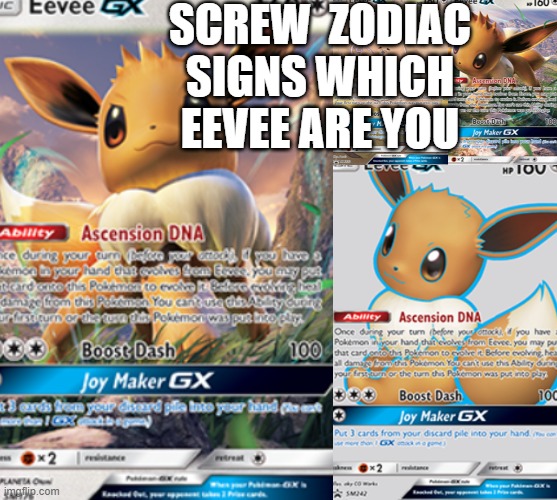 SCREW  ZODIAC SIGNS WHICH EEVEE ARE YOU | image tagged in why | made w/ Imgflip meme maker