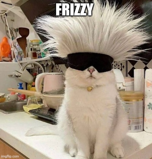 Frizzy kitty | FRIZZY | image tagged in frizzy kitty | made w/ Imgflip meme maker