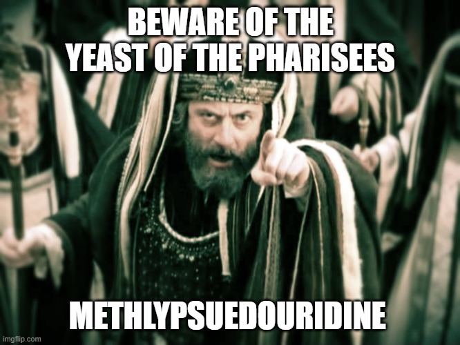 Pharisee  | BEWARE OF THE YEAST OF THE PHARISEES; METHLYPSUEDOURIDINE | image tagged in pharisee | made w/ Imgflip meme maker