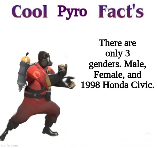 cool pyro facts | There are only 3 genders. Male, Female, and 1998 Honda Civic. | image tagged in cooler pyro facts | made w/ Imgflip meme maker