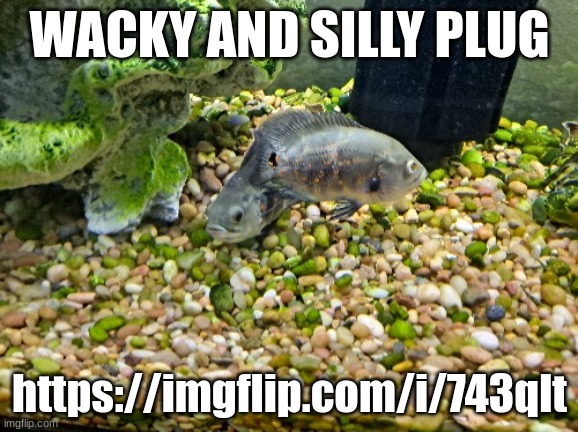 Julie and Josephine | WACKY AND SILLY PLUG; https://imgflip.com/i/743qlt | image tagged in jimmy and joseph | made w/ Imgflip meme maker