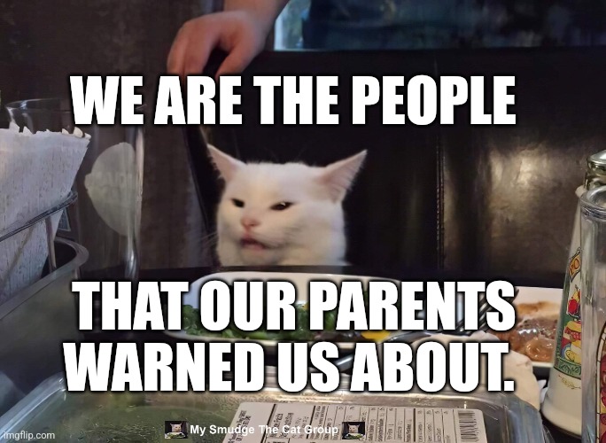 WE ARE THE PEOPLE; THAT OUR PARENTS WARNED US ABOUT. | image tagged in smudge the cat | made w/ Imgflip meme maker