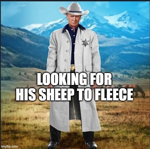 LOOKING FOR HIS SHEEP TO FLEECE | made w/ Imgflip meme maker