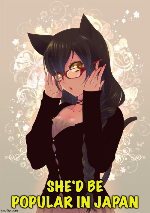 Anime Cat Girl Glasses | SHE'D BE POPULAR IN JAPAN | image tagged in anime cat girl glasses | made w/ Imgflip meme maker