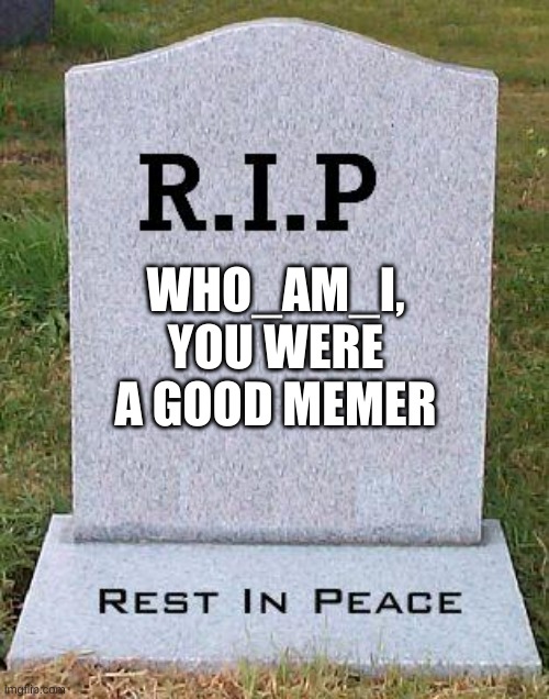 :( | WHO_AM_I, YOU WERE A GOOD MEMER | image tagged in rip headstone,who_am_i | made w/ Imgflip meme maker