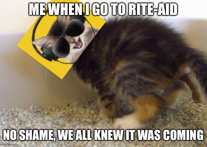 You knew it was coming | ME WHEN I GO TO RITE-AID; NO SHAME, WE ALL KNEW IT WAS COMING | image tagged in you knew it was coming | made w/ Imgflip meme maker