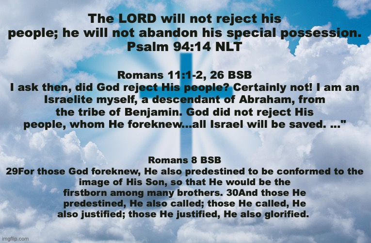 THE PROMISE KEEPER | The LORD will not reject his people; he will not abandon his special possession.
Psalm 94:14 NLT; Romans 11:1-2, 26 BSB
I ask then, did God reject His people? Certainly not! I am an Israelite myself, a descendant of Abraham, from the tribe of Benjamin. God did not reject His people, whom He foreknew...all Israel will be saved. ..."; Romans 8 BSB
29For those God foreknew, He also predestined to be conformed to the image of His Son, so that He would be the firstborn among many brothers. 30And those He predestined, He also called; those He called, He also justified; those He justified, He also glorified. | image tagged in he is faithful,second timothy two thirteen | made w/ Imgflip meme maker