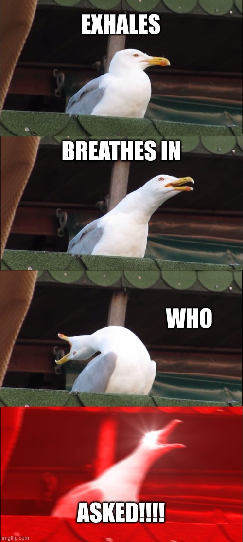 Inhaling Seagull Meme | EXHALES; BREATHES IN; WHO; ASKED!!!! | image tagged in memes,inhaling seagull | made w/ Imgflip meme maker