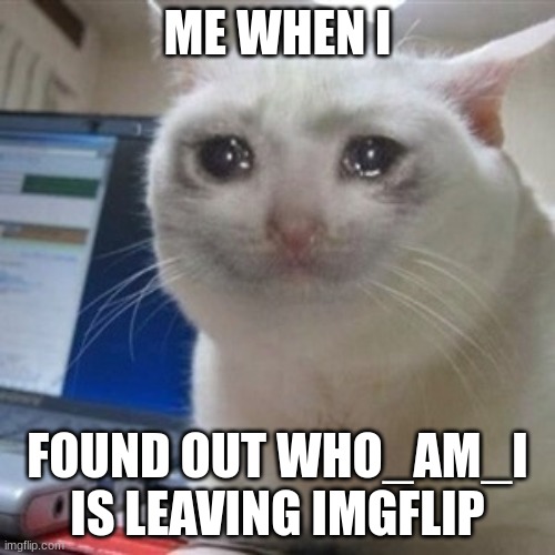 goodbye legend | ME WHEN I; FOUND OUT WHO_AM_I IS LEAVING IMGFLIP | image tagged in crying cat | made w/ Imgflip meme maker
