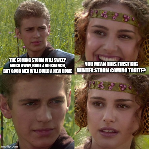 yr 0 | THE COMING STORM WILL SWEEP MUCH AWAY, ROOT AND BRANCH, BUT GOOD MEN WILL BUILD A NEW HOME; YOU MEAN THIS FIRST BIG WINTER STORM COMING TONITE? | image tagged in anakin padme 4 panel | made w/ Imgflip meme maker