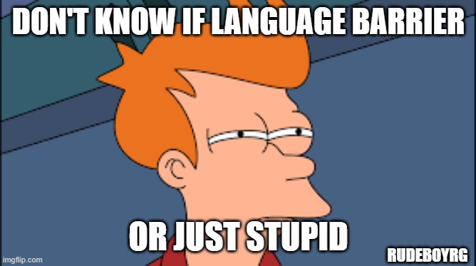 Don't Know If Language Barrier or Stupid | DON'T KNOW IF LANGUAGE BARRIER; OR JUST STUPID; RUDEBOYRG | image tagged in fry not sure,futurama fry,language barrier | made w/ Imgflip meme maker