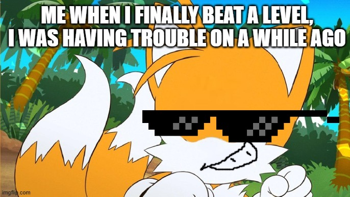 is this also true for you? | ME WHEN I FINALLY BEAT A LEVEL, I WAS HAVING TROUBLE ON A WHILE AGO | image tagged in draw a face on tails | made w/ Imgflip meme maker