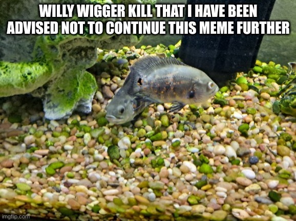 Julie and Josephine | WILLY WIGGER KILL THAT I HAVE BEEN ADVISED NOT TO CONTINUE THIS MEME FURTHER | image tagged in jimmy and joseph | made w/ Imgflip meme maker