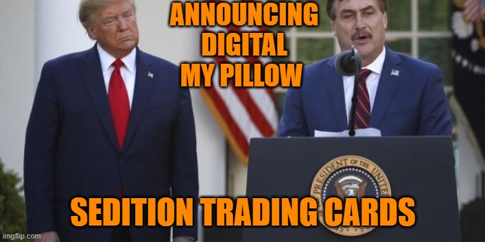 trump my pillow | ANNOUNCING DIGITAL MY PILLOW SEDITION TRADING CARDS | image tagged in trump my pillow | made w/ Imgflip meme maker