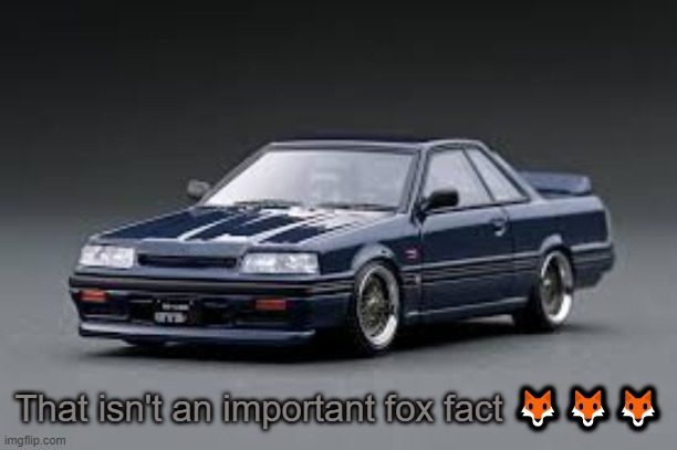 '87 Nissan Skyline R31 GTS-R | That isn't an important fox fact 🦊🦊🦊 | image tagged in '87 nissan skyline r31 gts-r | made w/ Imgflip meme maker