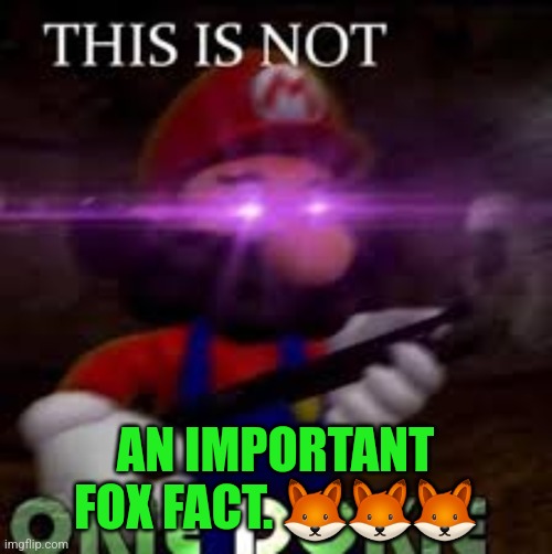 THIS IS NOT AN IMPORTANT FOX FACT. ??? | AN IMPORTANT FOX FACT. 🦊🦊🦊 | image tagged in this is not okie dokie | made w/ Imgflip meme maker